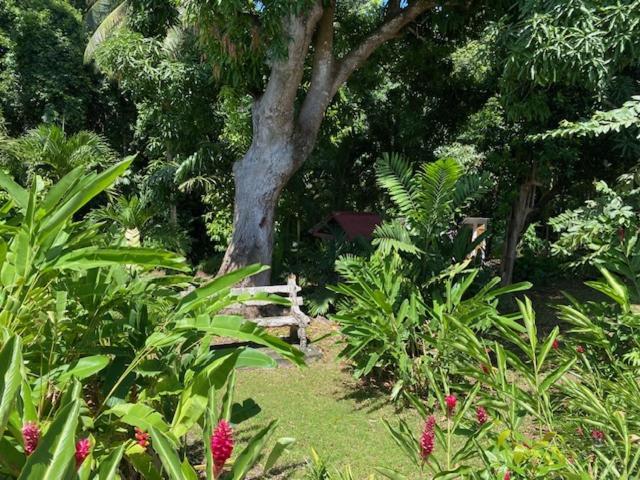 Villa Coco Caraibes Десе Екстериор снимка